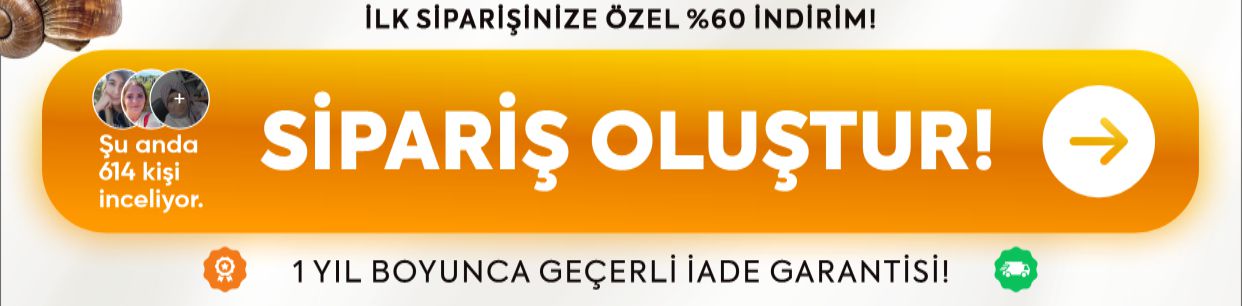 Promotional Imasge 1