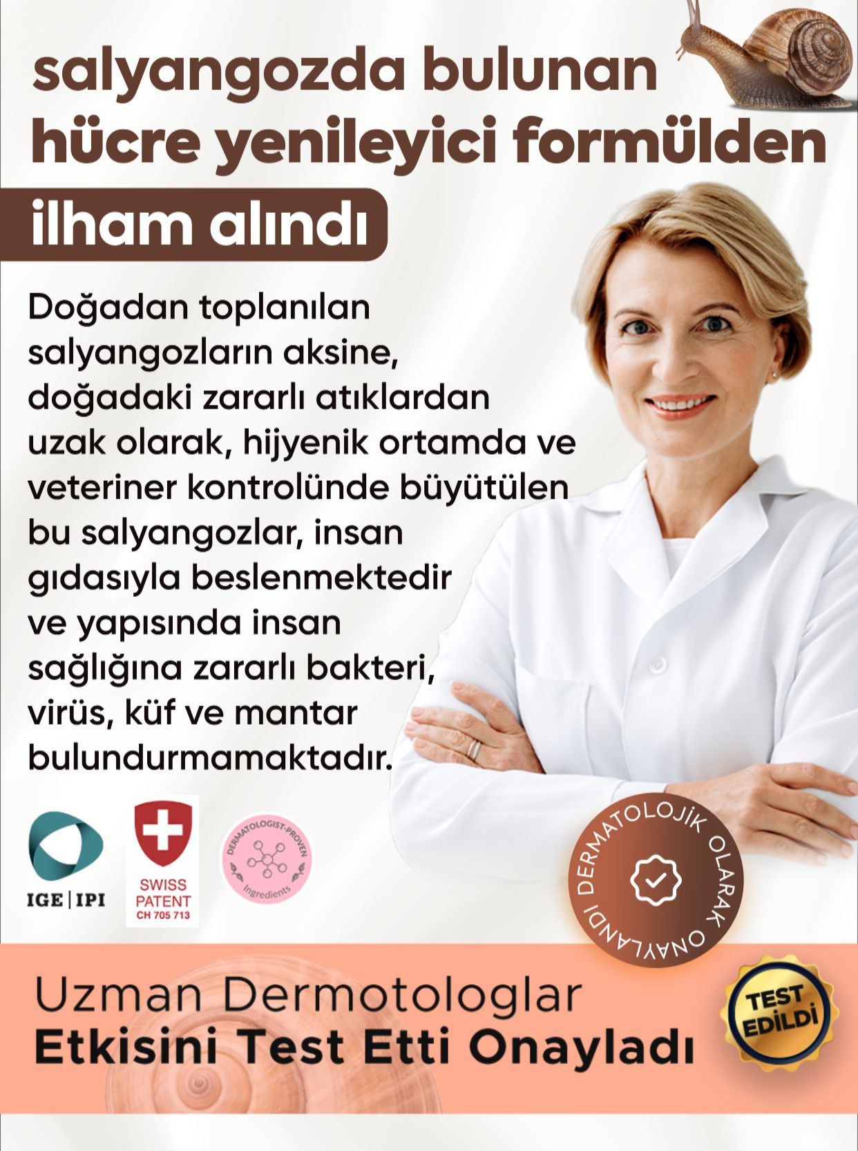 Promotional Imasge 1